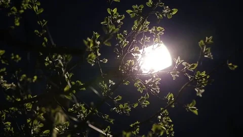 Street lamp for night lighting Stock Footage 76803461