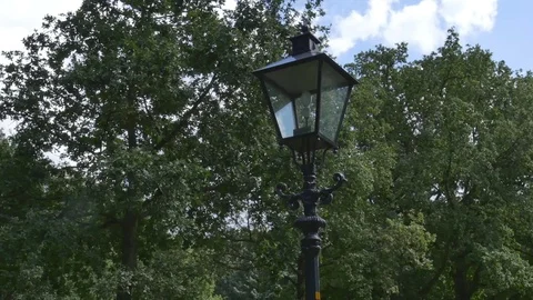 Street Lamp in park Stock Footage 73701978
