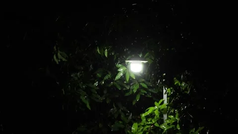 Street Lamp Shining Through Rain And Wind In Dark Night. Wind Blowing Leave.. Stock Footage 329436558