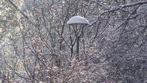 Street lamp in the snow Stock-Footage 329867129