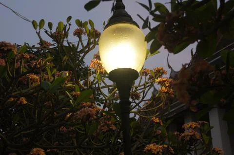 Street lantern 库存照片