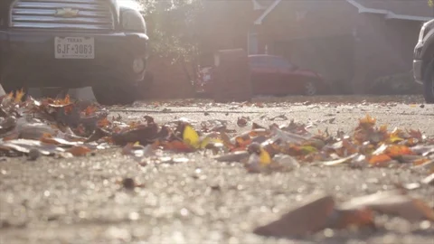 Street leaves Fall windy Video stock 93963624