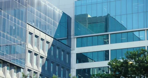 Street-level office pair are showing glass glare as sun moves, foliage is Stock Footage 340257354