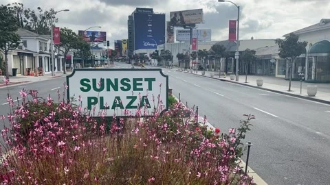 Street level view of empty Sunset Strip during corona virus lockdown Stock Footage 133826437