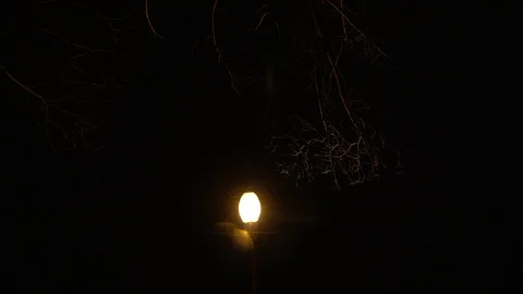 Street Light In The Black Sky With Falling Snow Stock Footage 100969445