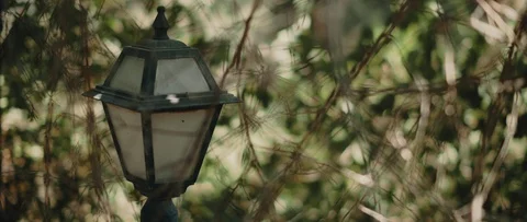 Street light covered with dust between branches Stock Footage 124696747
