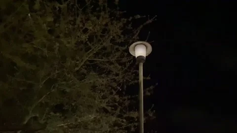 Street light flickering Stock Footage 238019468