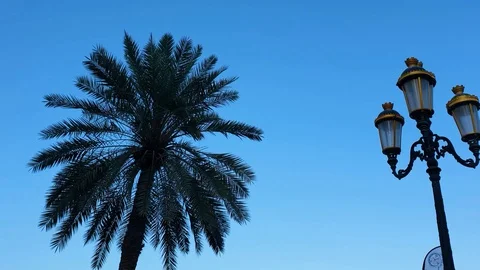 Street light Stock Footage 128646668