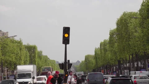 Street Light Heavy Traffic and Pedestrians In Paris Champs Elysees in Stock Footage 206026053