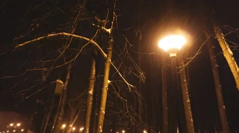 Street light lamp at night Stock Footage 66485048