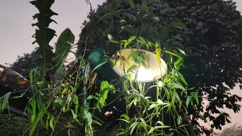 Street light in the morning Video stock 208536626