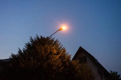 Street light night with tree blue hour evening with house roof Stock Photos