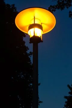 Street light night view orange light with tree Stock Photos