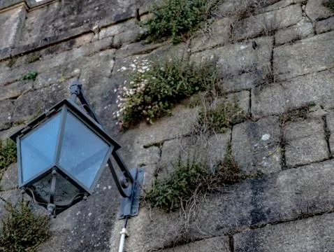 A Street light Stock Photos