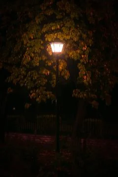 Street light Foto stock