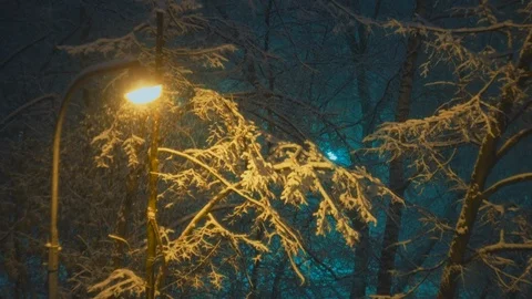 Street light pole at blizzard winter night Stock Footage 103662751