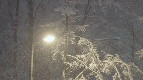 Street light pole at blizzard winter night 動画素材 103786888