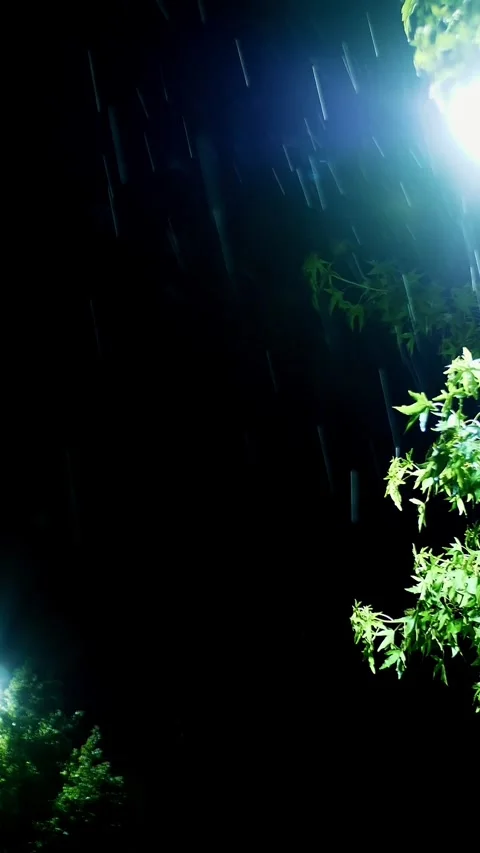 Street light. Rain Drop. Rain in the night. Light rainfall. Puddle with lights Stock Footage 314656357