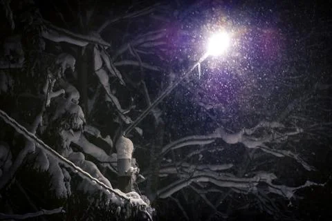 Street light shining through falling snow Stock Photos