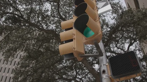 Street light with trees behind it Stock Footage 88155140