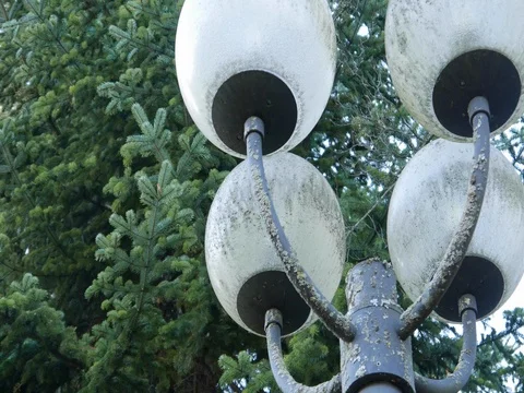 Street Lighting Stock Footage 82069936