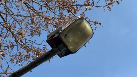 Street lights are turned off during the day Stock Footage 304609403