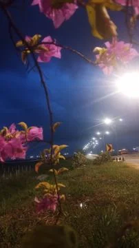 Street lights Stock Photos