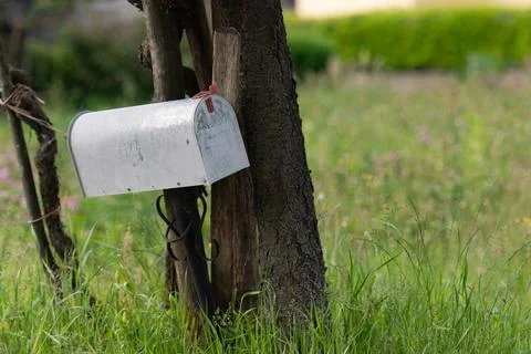 Street mailbox on a tree Stock Photos