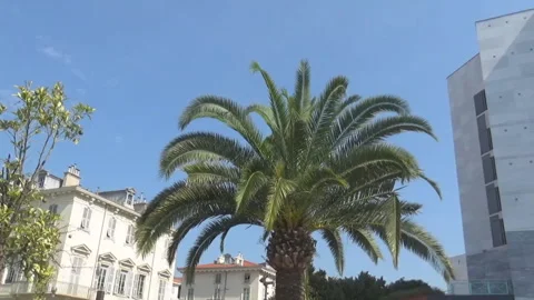 Street in Monaco Stock Footage 106969723