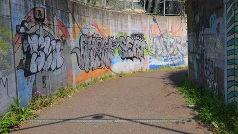 Street with murales Stock Footage 176290102