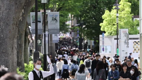 Street Omotesando Stock Footage 253450923