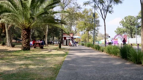 A street on one side of the Chapultepec forest Video stock 171431314