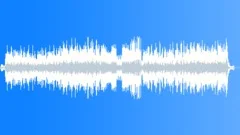 Street Organ Rag (With Kids Walla) Stock Music