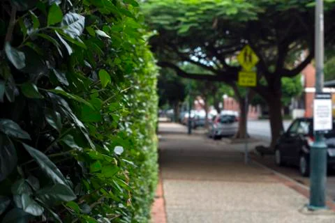 Street Pathway Stock Photos
