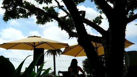 Street performer singing Stock Footage 75654903