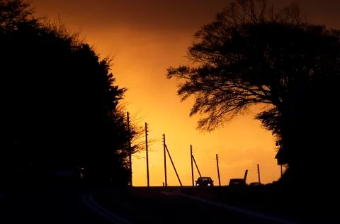 Street Stock Photos
