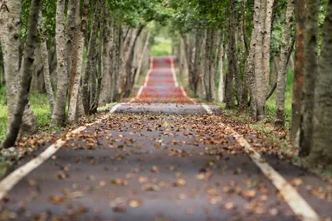 Street 스톡 사진