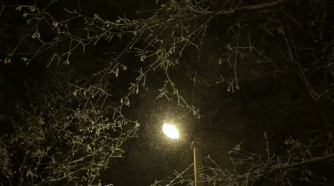 Street post with lantern in winter evening Stock Footage 59513559