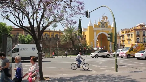 Street of Sevilla Stock Footage 136578539