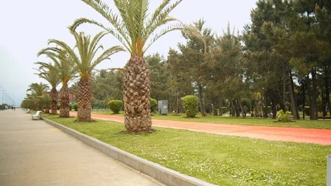 Street shot in perspective. Video stock 112376276