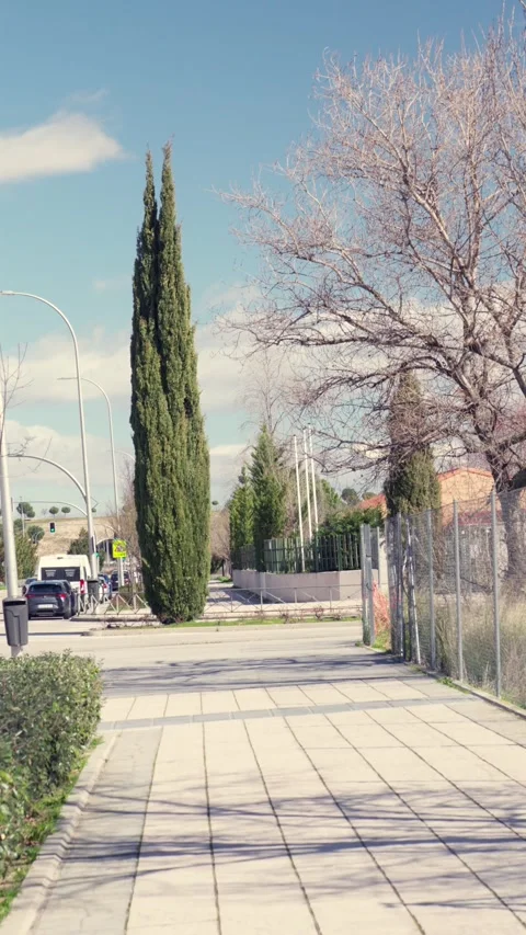A street with a tall tree in the middle and a fence on the right side. Stock-Footage 329247906