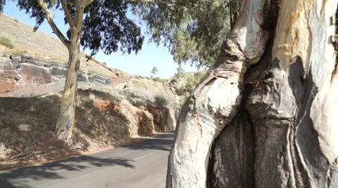 Street to to Teide Видео 43775833