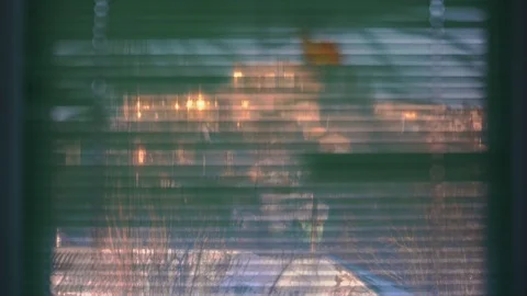 Street through the blinds. View from the window. Stock Footage 103513688