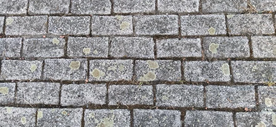 Street tiles are rectangular. Paved street or pavement, city street decoratio Stock Photos
