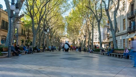 Street Timelapse with moving blur Stock Footage 119469986
