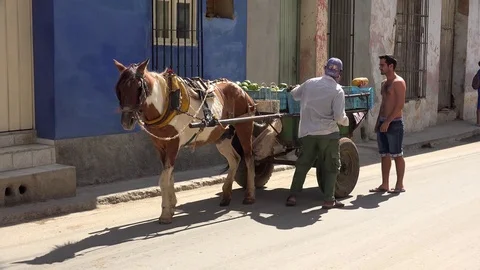 Street trade of farm products from a horse cart. Trinidad. Sancti Spiritus, Cuba Stock Footage