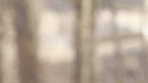 Street traffic in blur from the window Stock Footage 73253827