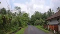 Street traffic scenery pov driving wet sunny narrow Bali road jungle landscape 4k or 4k+ Resolution