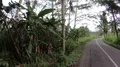 Street traffic scenery pov driving Bali road village rice fields landscape HD Footage