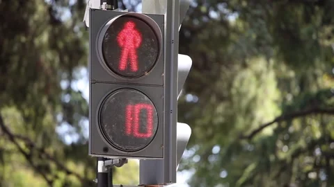 Street trafficlight with changing numbers and a persons icon Stock Footage 162224042